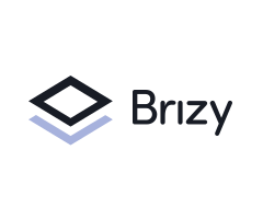 Brizy Logo light bg